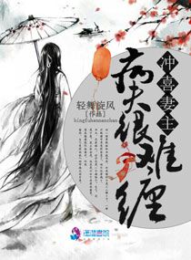 冲喜娘妻续之逆袭人生